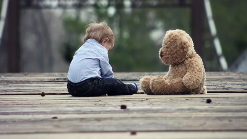 Porównanie zestawów Polly Bear i Papieranki — co wybrać?