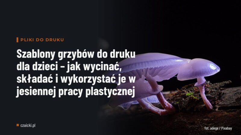 Szablony grzybów do druku dla dzieci – jak wycinać, składać i wykorzystać je w jesiennej pracy plastycznej